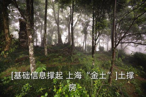 [基礎(chǔ)信息撐起 上?！敖鹜痢盷土撐房