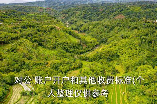  對(duì)公 賬戶(hù)開(kāi)戶(hù)和其他收費(fèi)標(biāo)準(zhǔn)(個(gè)人整理僅供參考