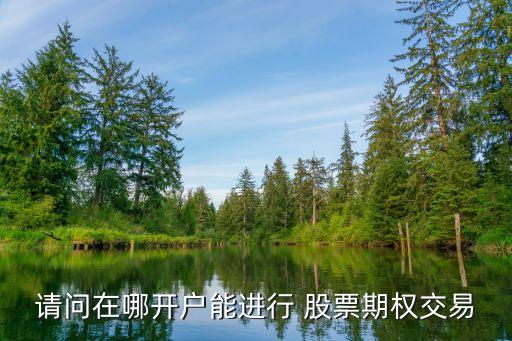 請(qǐng)問(wèn)在哪開(kāi)戶能進(jìn)行 股票期權(quán)交易
