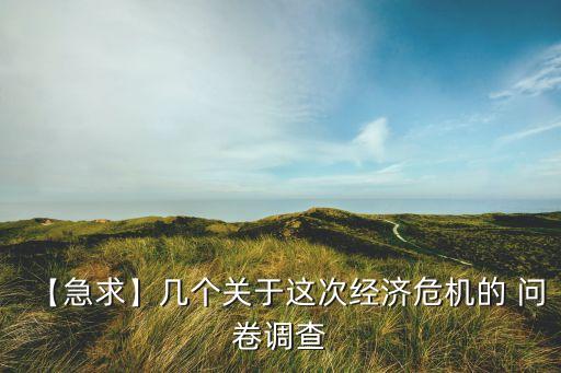 【急求】幾個關(guān)于這次經(jīng)濟(jì)危機(jī)的 問卷調(diào)查