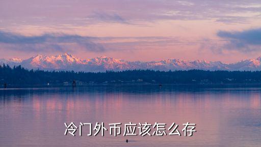 哪個(gè)外國(guó)錢(qián)存銀行是負(fù)利率