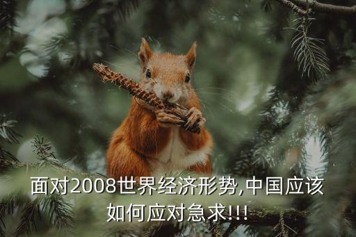 面對2008世界經(jīng)濟形勢,中國應(yīng)該如何應(yīng)對急求!!!