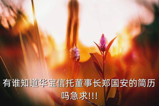 有誰(shuí)知道華寶信托董事長(zhǎng)鄭國(guó)安的簡(jiǎn)歷嗎急求!!!