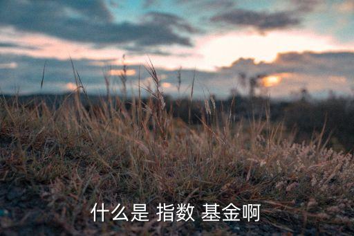 指數型基金什么意思,滬深300指數型基金是什么意思