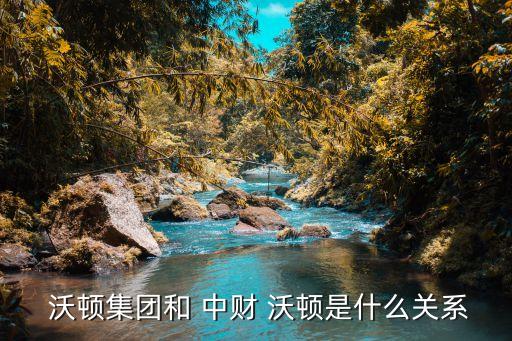  沃頓集團和 中財 沃頓是什么關(guān)系