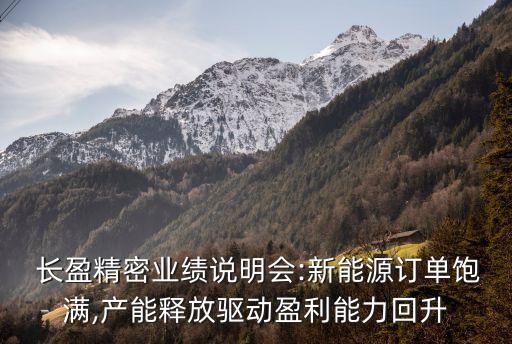  長(zhǎng)盈精密業(yè)績(jī)說(shuō)明會(huì):新能源訂單飽滿,產(chǎn)能釋放驅(qū)動(dòng)盈利能力回升