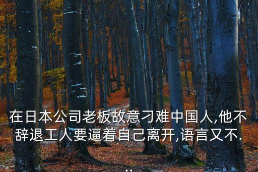 在日本公司老板故意刁難中國(guó)人,他不辭退工人要逼著自己離開(kāi),語(yǔ)言又不...