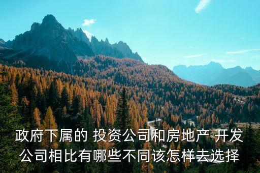 政府下屬的 投資公司和房地產(chǎn) 開(kāi)發(fā)公司相比有哪些不同該怎樣去選擇