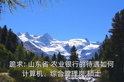 跪求: 山東省 農業(yè)銀行的待遇如何計算機、綜合管理崗,碩士