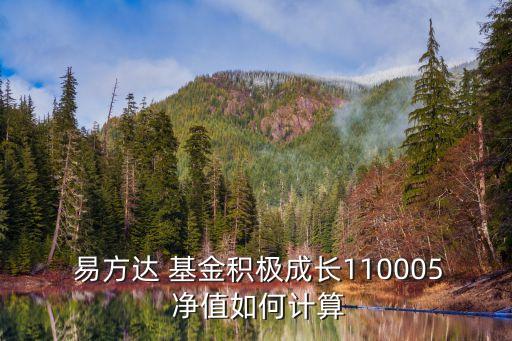  易方達(dá) 基金積極成長110005 凈值如何計(jì)算