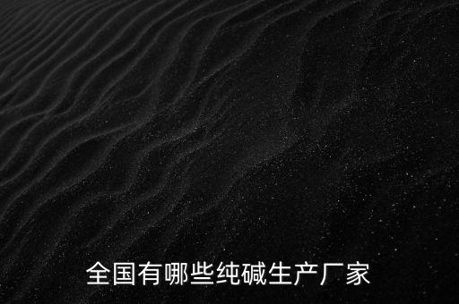 全國有哪些純堿生產廠家