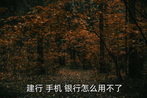 建行手機(jī)銀行無法登錄