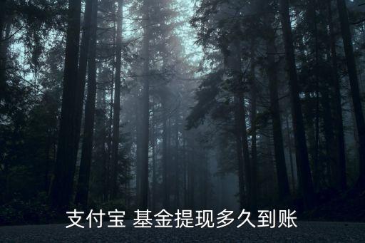 基金買(mǎi)了什么時(shí)候到賬戶(hù),買(mǎi)基金什么時(shí)候可以取出