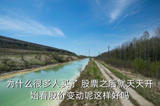 為什么很多人買了 股票之后就天天開(kāi)始看股價(jià)變動(dòng)呢這樣好嗎