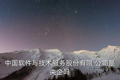 中國軟件與技術(shù)服務股份有限 公司是央企嗎