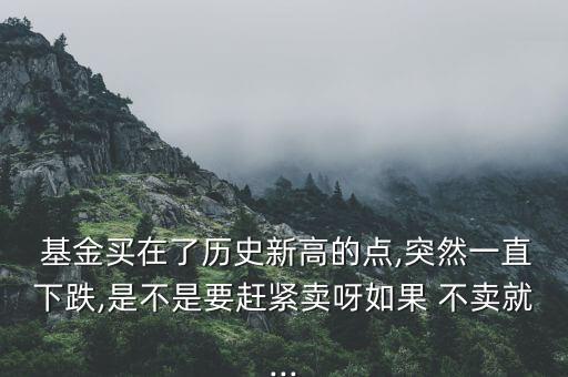  基金買(mǎi)在了歷史新高的點(diǎn),突然一直下跌,是不是要趕緊賣(mài)呀如果 不賣(mài)就...