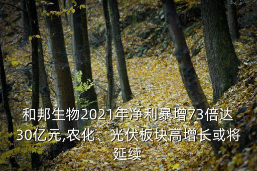和邦生物2021年凈利暴增73倍達30億元,農(nóng)化、光伏板塊高增長或?qū)⒀永m(xù)