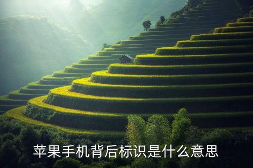 蘋果手機(jī)背后標(biāo)識是什么意思
