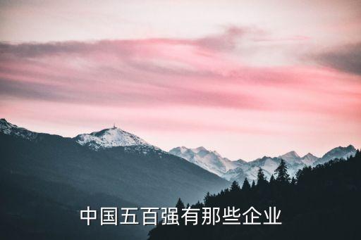 中國(guó)五百強(qiáng)有那些企業(yè)