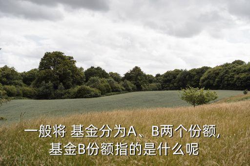 一般將 基金分為A、B兩個(gè)份額, 基金B(yǎng)份額指的是什么呢