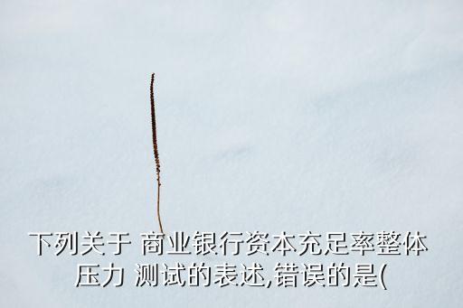 下列關(guān)于 商業(yè)銀行資本充足率整體 壓力 測試的表述,錯誤的是(