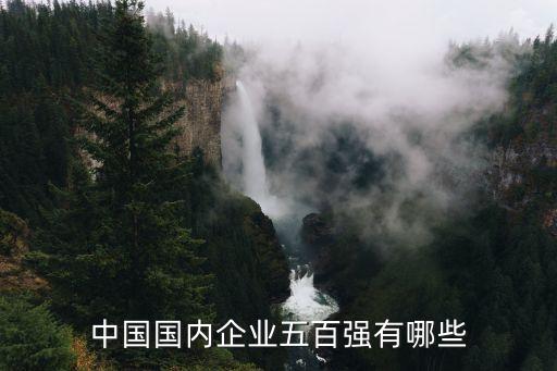 中國(guó)國(guó)內(nèi)企業(yè)五百強(qiáng)有哪些