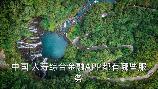 中國 人壽綜合金融APP都有哪些服務