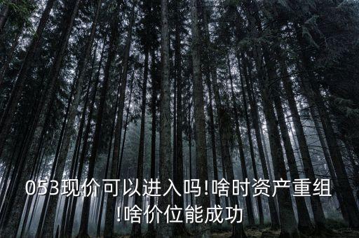 053現(xiàn)價可以進(jìn)入嗎!啥時資產(chǎn)重組!啥價位能成功