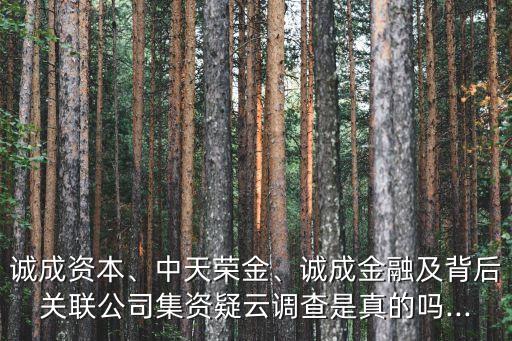 誠成資本、中天榮金、誠成金融及背后關(guān)聯(lián)公司集資疑云調(diào)查是真的嗎...