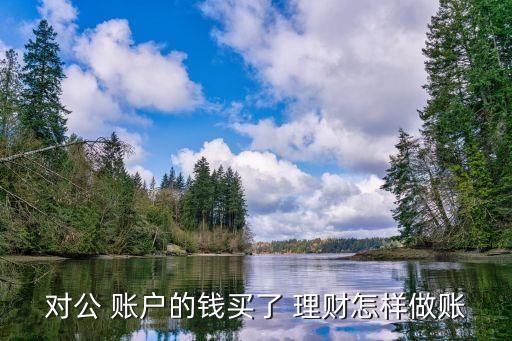 對(duì)公 賬戶的錢(qián)買(mǎi)了 理財(cái)怎樣做賬