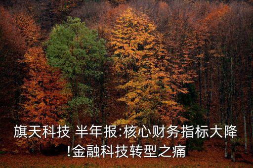 旗天科技 半年報:核心財務指標大降!金融科技轉型之痛