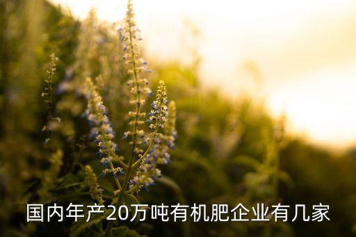 國(guó)內(nèi)年產(chǎn)20萬噸有機(jī)肥企業(yè)有幾家