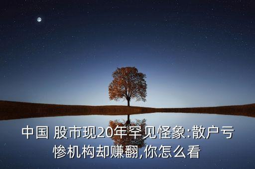 中國 股市現(xiàn)20年罕見怪象:散戶虧慘機構(gòu)卻賺翻,你怎么看