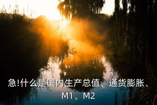 急!什么是國內(nèi)生產(chǎn)總值、通貨膨脹、M1、M2