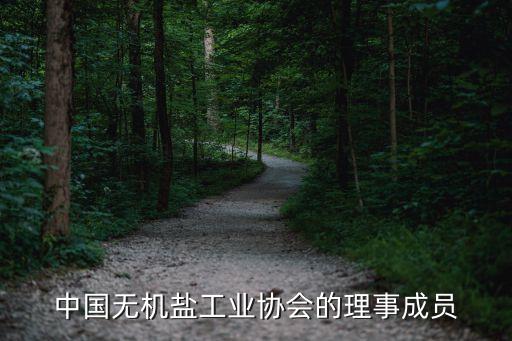 中國無機(jī)鹽工業(yè)協(xié)會的理事成員