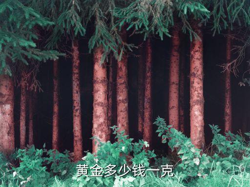黃金多少錢(qián)一克