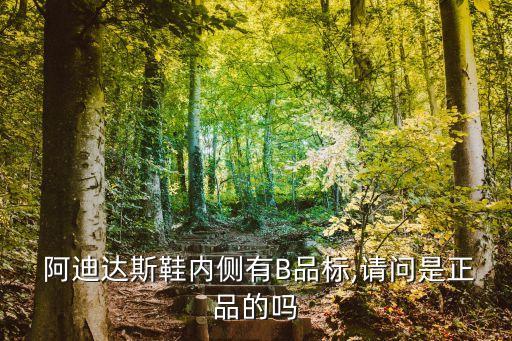  阿迪達斯鞋內(nèi)側有B品標,請問是正品的嗎