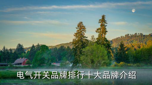 電氣開關品牌排行十大品牌介紹