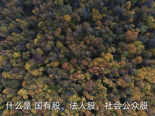 什么是 國有股、法人股、社會(huì)公眾股
