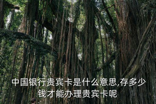 中國銀行財(cái)富客戶標(biāo)準(zhǔn)
