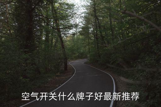 空氣開關什么牌子好最新推薦
