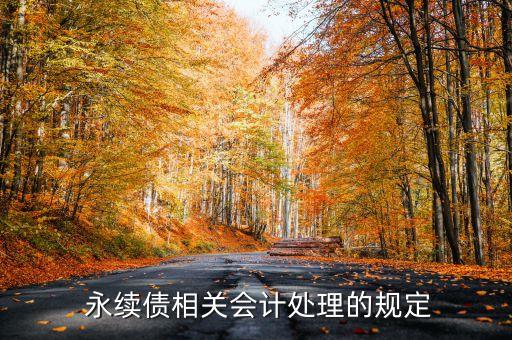  永續(xù)債相關(guān)會(huì)計(jì)處理的規(guī)定