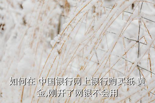 如何在 中國(guó)銀行網(wǎng)上銀行購(gòu)買紙 黃金,剛開了網(wǎng)銀不會(huì)用