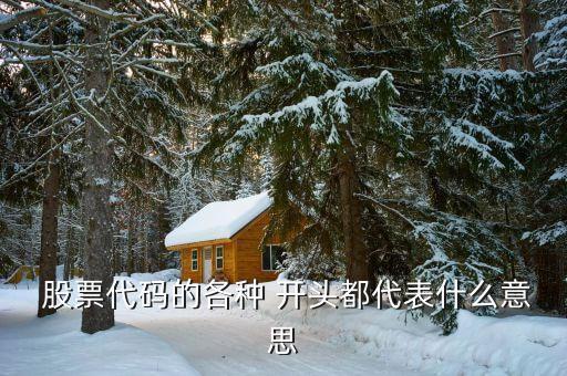  股票代碼的各種 開(kāi)頭都代表什么意思