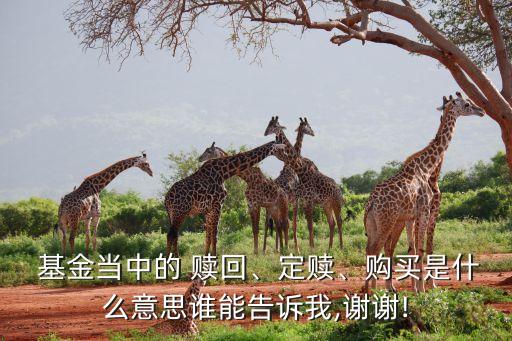  基金當中的 贖回、定贖、購買是什么意思誰能告訴我,謝謝!
