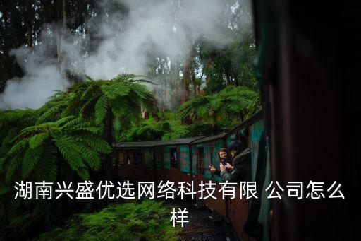 湖南興盛優(yōu)選網(wǎng)絡科技有限 公司怎么樣