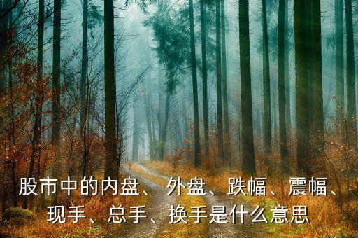 股市中的內(nèi)盤、 外盤、跌幅、震幅、現(xiàn)手、總手、換手是什么意思