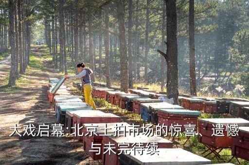 大戲啟幕:北京土拍市場的驚喜、遺憾與未完待續(xù)