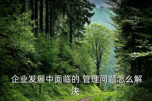 對中國現在企業(yè)如何進行管理,在中國的美國企業(yè)現在如何