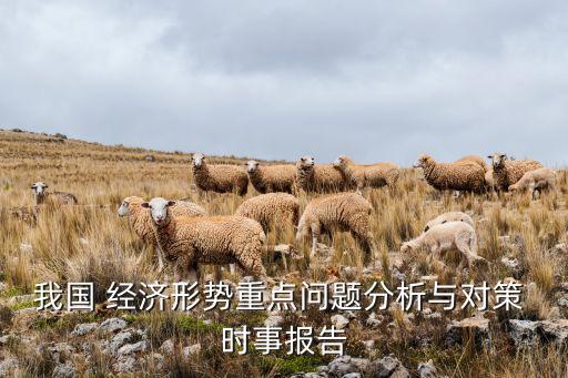 我國 經(jīng)濟(jì)形勢重點(diǎn)問題分析與對策 時(shí)事報(bào)告